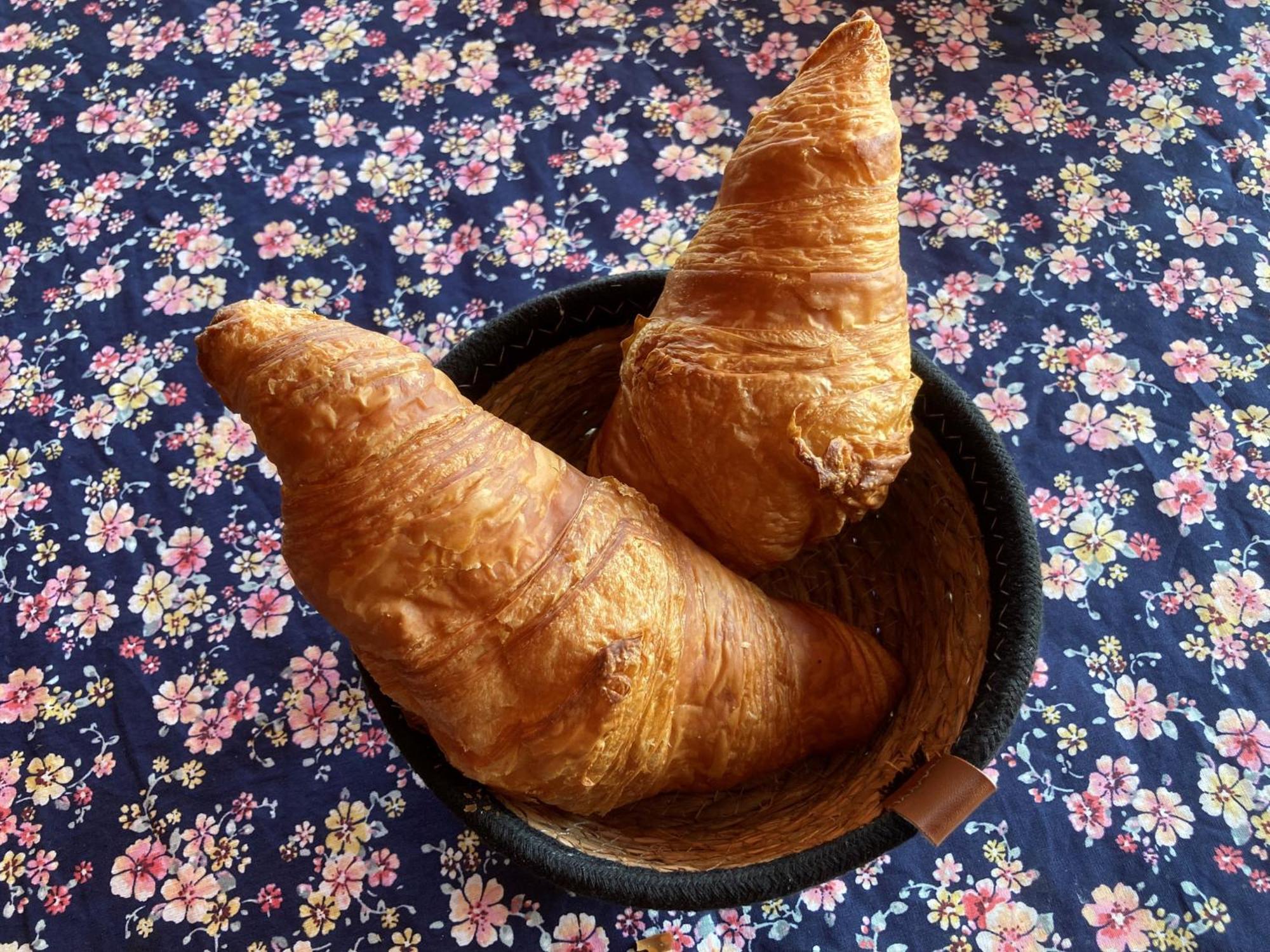 Les Jardins D'Ispahan Prignac-et-Marcamps Eksteriør billede